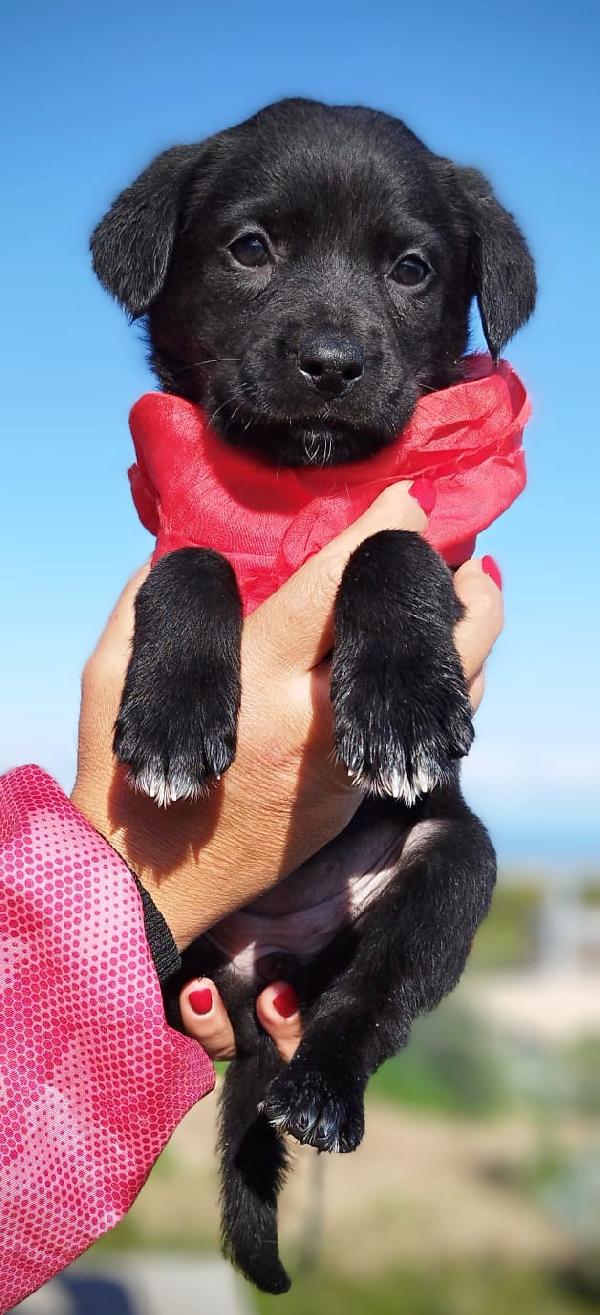 Neve In Cerca Di 🏡