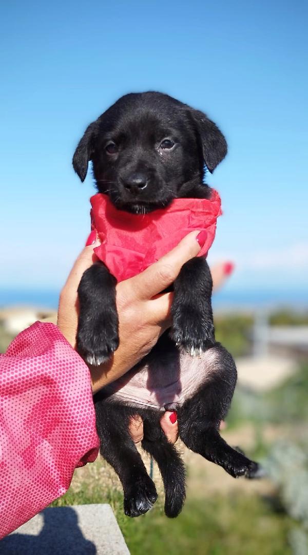 Neve in cerca di 🏡 Foto 2