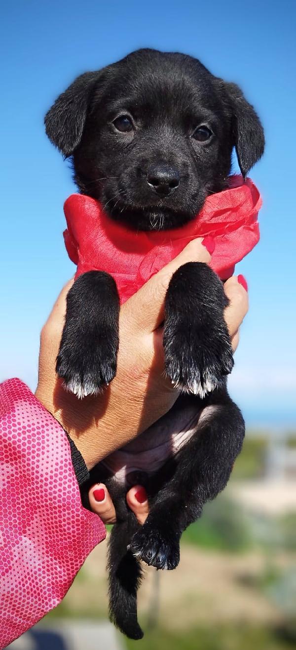 Neve in cerca di 🏡 Foto 3