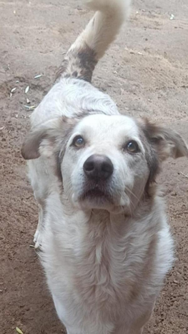 Basilio 5Anni Salvato 3Anni Da 1Lager.roma