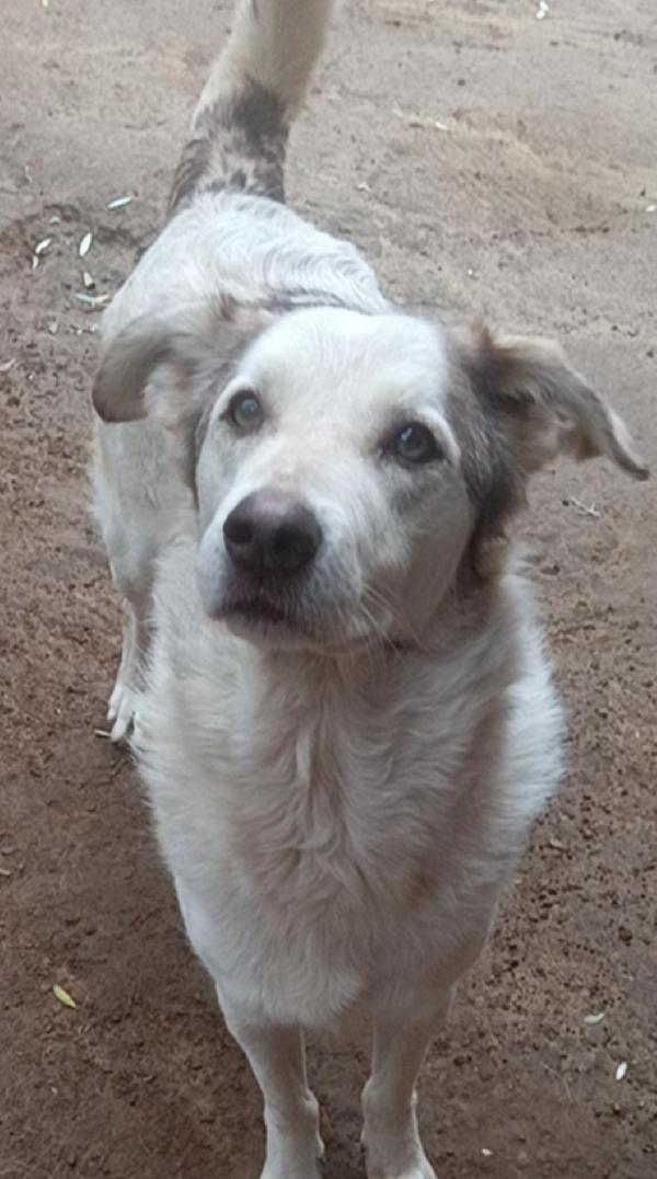 Basilio 5anni salvato 3anni da 1lager.ROMA Foto 4