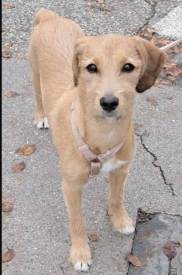 Mimì 10Mesi Meravigliosa Arrivata In Friuli