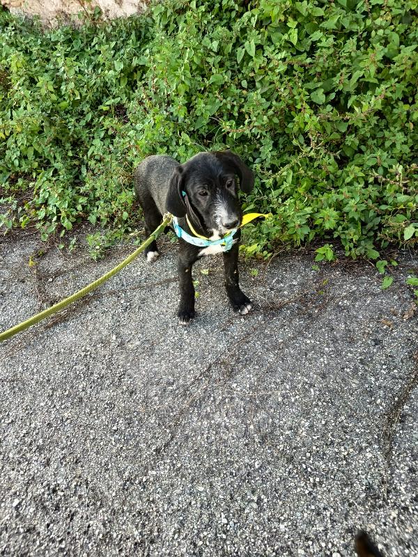 UNA MAMMA PER LUNA Foto 2