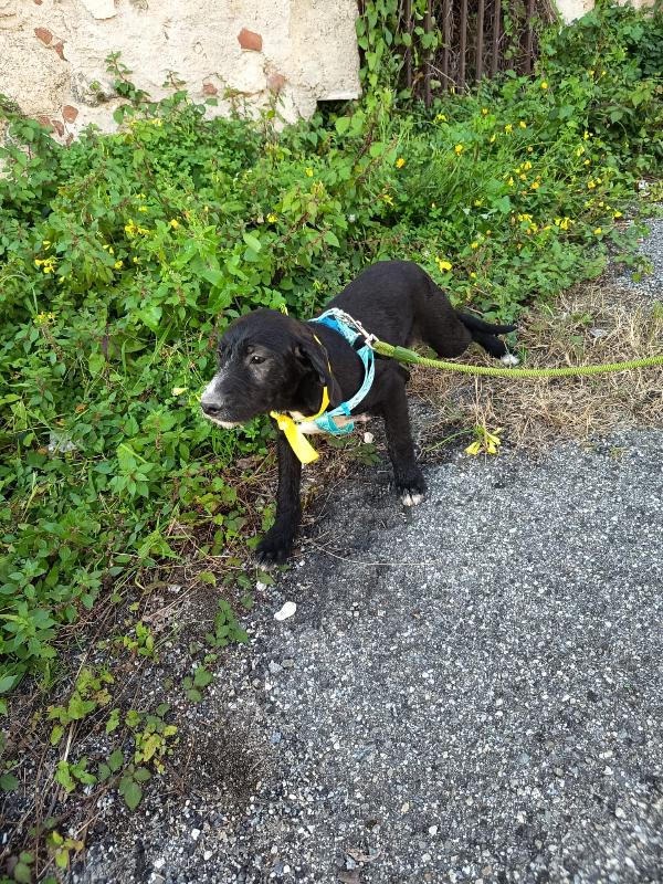 UNA MAMMA PER LUNA Foto 3