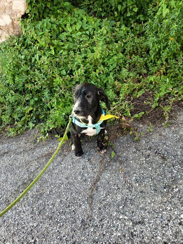 UNA MAMMA PER LUNA Foto 4