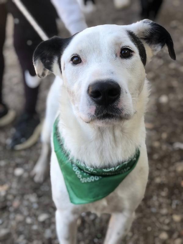 Stracciatella Foto 2