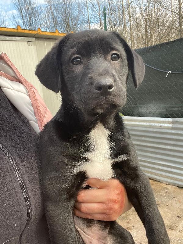 La Tenerissima Vittoria