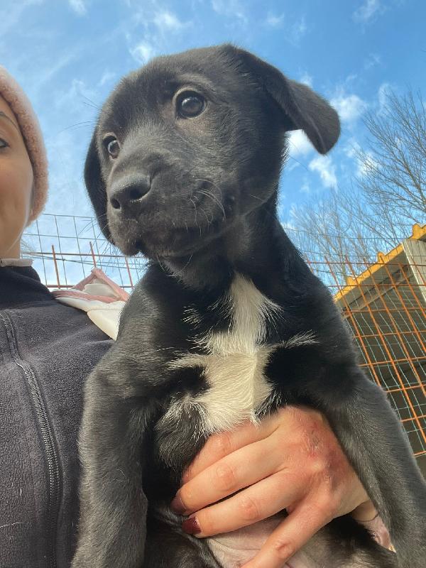 LA TENERISSIMA VITTORIA Foto 2