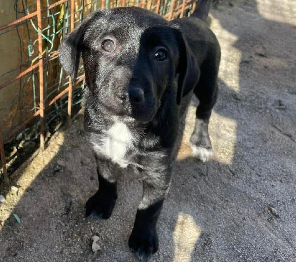 LA TENERISSIMA VITTORIA Foto 3