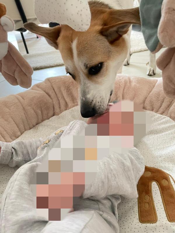 India cerca nuova famiglia  Foto 4