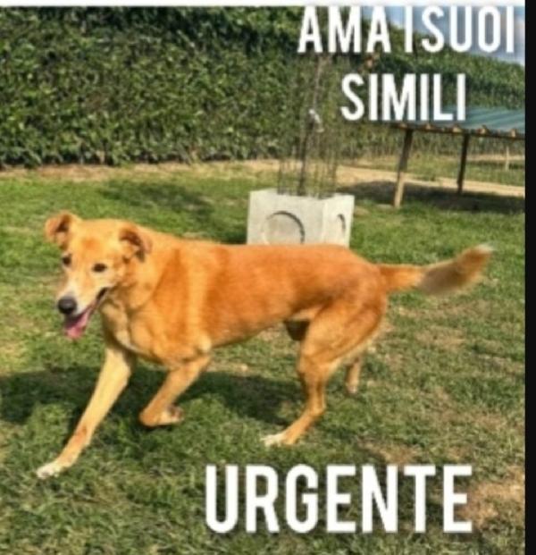 Jeremi 15anni NESSUNO HA CHIAMATO ED È SCESO AL SUD. Foto 2