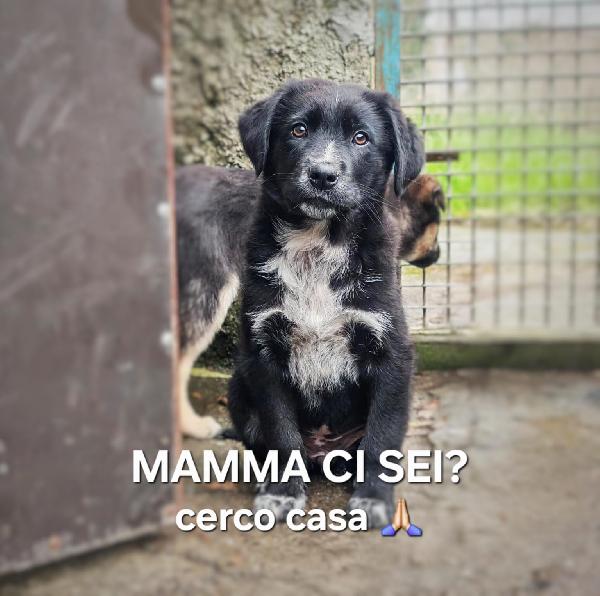 Mora, Due Mesi E Mezzo...