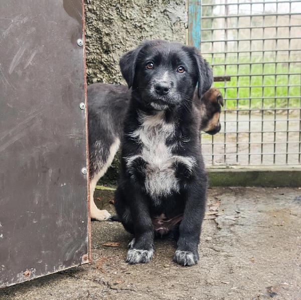 Mora, due mesi e mezzo... Foto 3