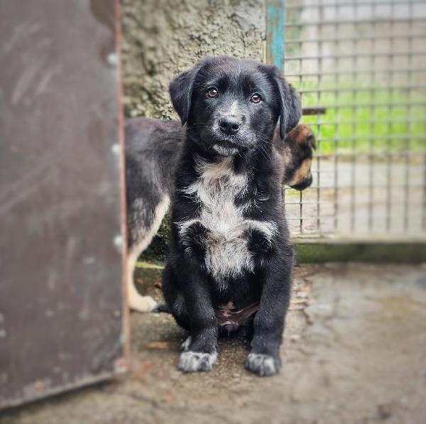 Mora, due mesi e mezzo... Foto 4