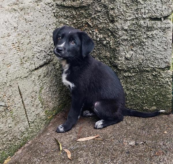 Mora, due mesi e mezzo... Foto 5