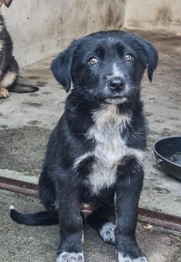 Mora, due mesi e mezzo... Foto 6