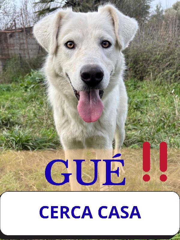 Guè...un angelo Foto 2