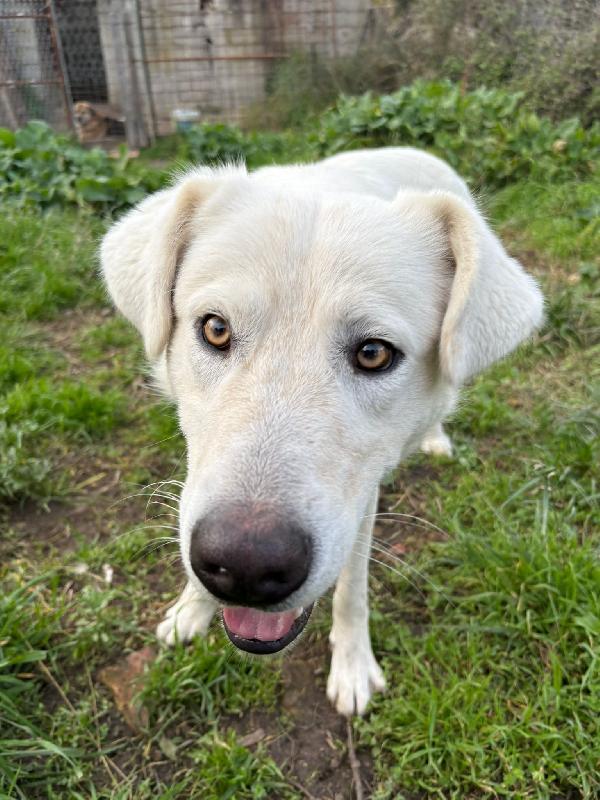 Guè...un angelo Foto 3