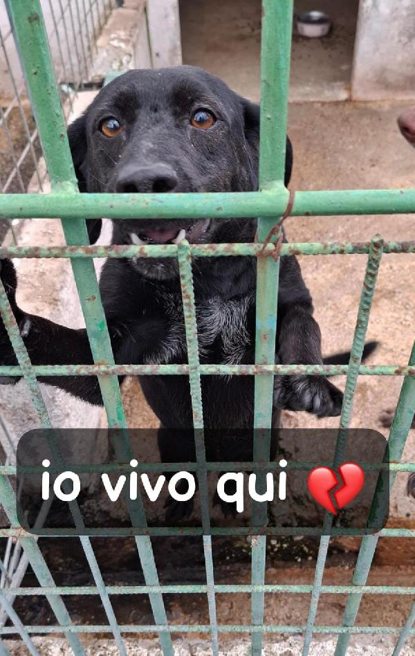 Keyla 4 Anni Taglia Media