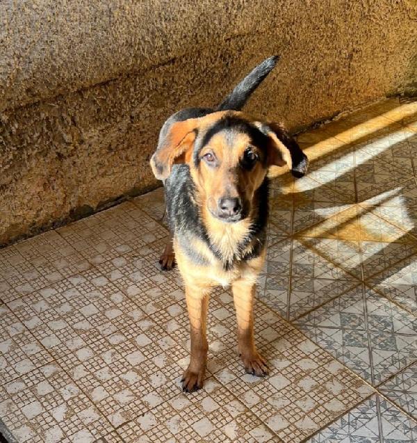 UNA MAMMA PER ATTILA Foto 3