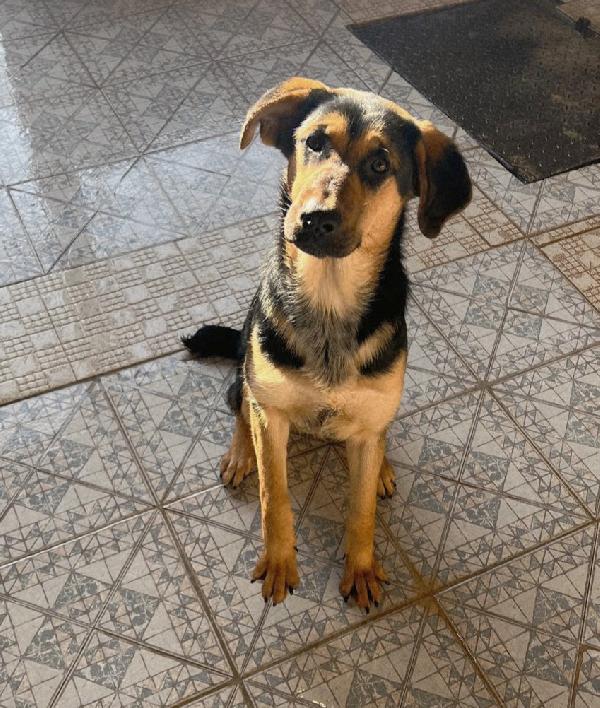 UNA MAMMA PER CIRCE Foto 3