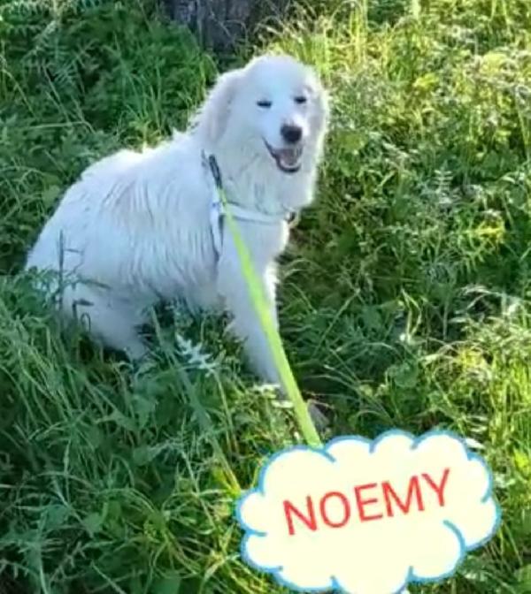 Noemi e Terence nati nel 2021 tg media INVISIBILI! Foto 7