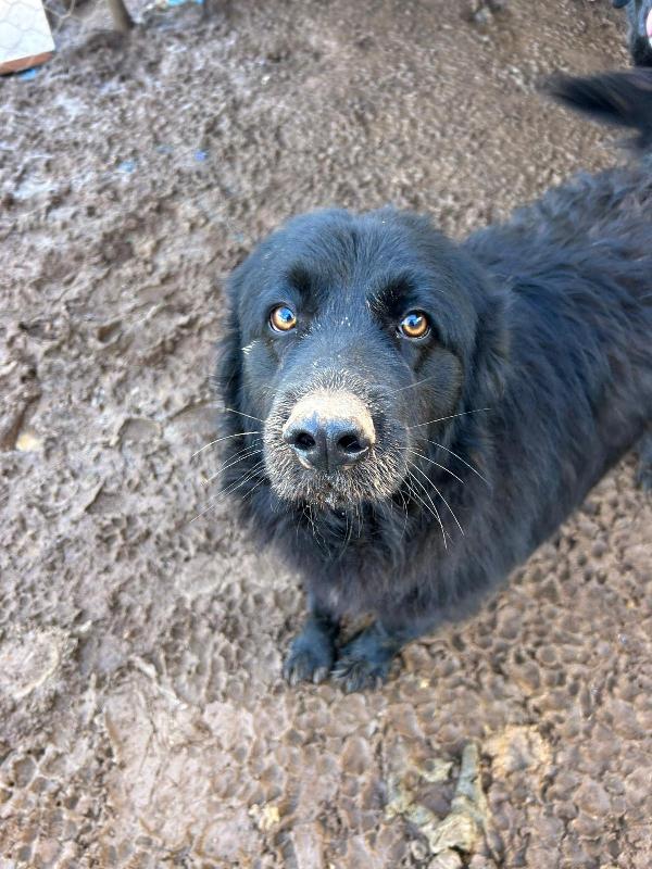 Masha Splendida Giovanotta Cerca Famiglia 