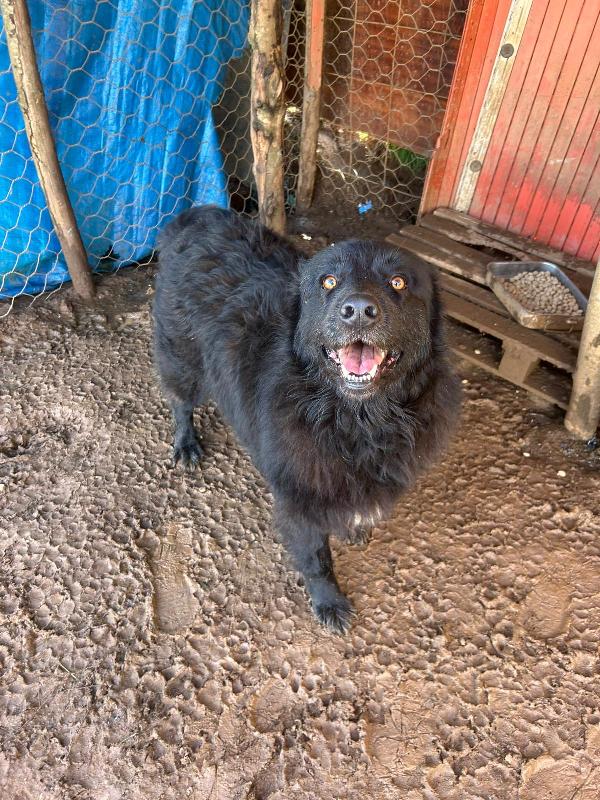 Masha splendida giovanotta cerca famiglia  Foto 4