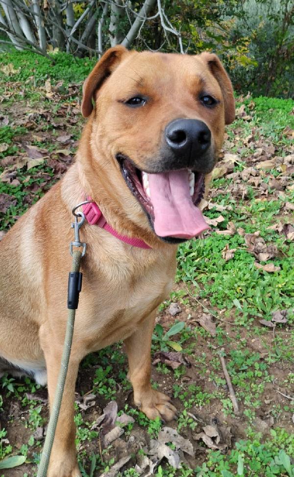 UNA MAMMA PER SYMON Foto 2