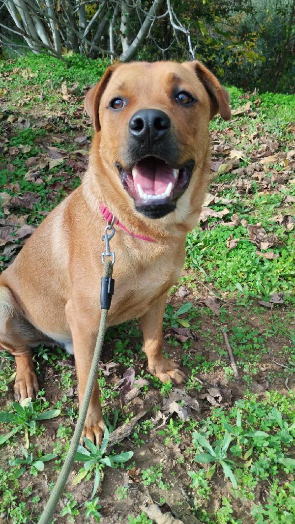 UNA MAMMA PER SYMON Foto 3