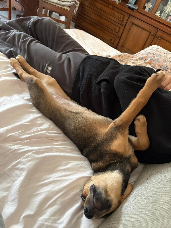 Giorgia, Un Mix Strepitoso 