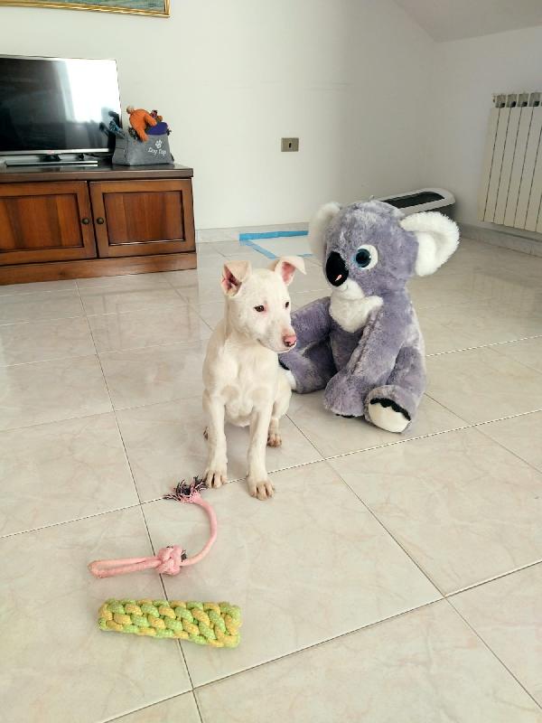 Giorgia, un mix strepitoso  Foto 3