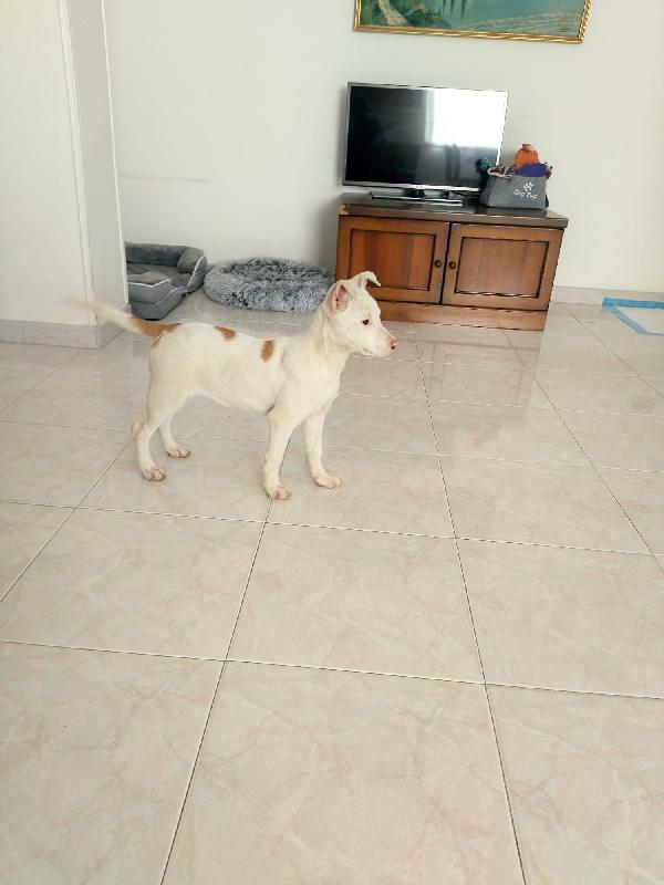 Giorgia, un mix strepitoso  Foto 4