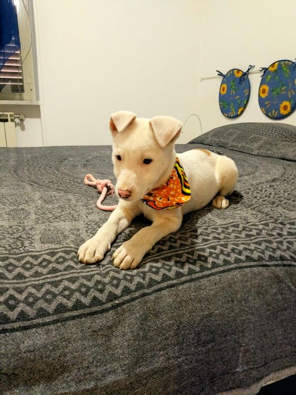 Giorgia, un mix strepitoso  Foto 5