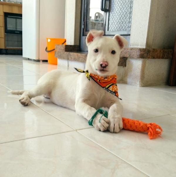 Giorgia, un mix strepitoso  Foto 6