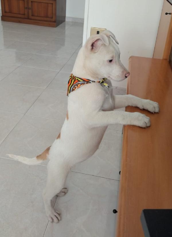 Giorgia, un mix strepitoso  Foto 7