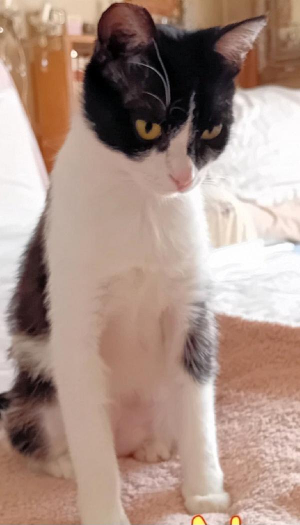 Nana'micia Affettuosa 15Mesi Roma Sos