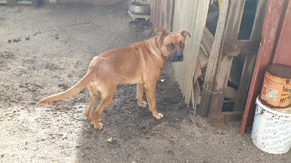 Chicco 18 Mesi Taglia Grande