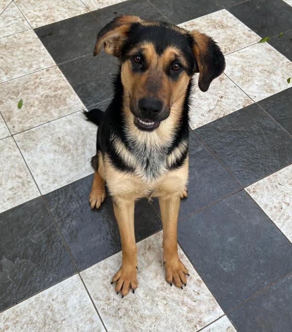 Circe Aspetta Una Mamma 