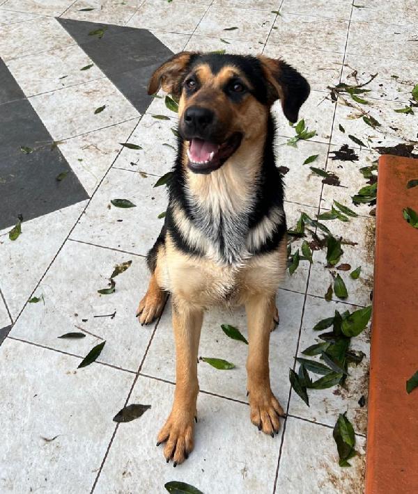 CIRCE ASPETTA UNA MAMMA  Foto 2