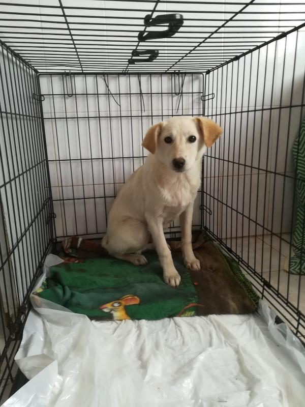 UNA MAMMA PER MERLINO Foto 2