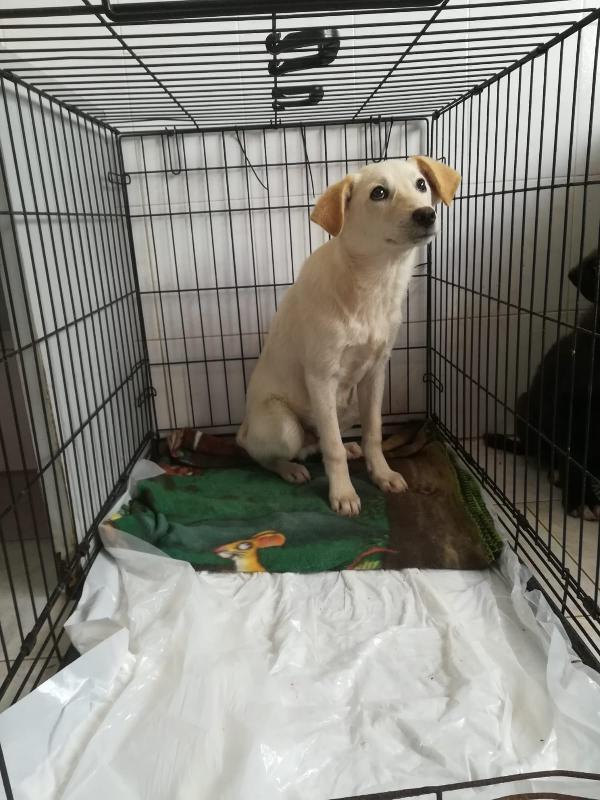 UNA MAMMA PER MERLINO Foto 3