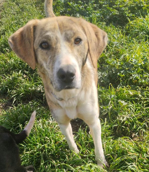 UNA MAMMA PER TERRY Foto 3