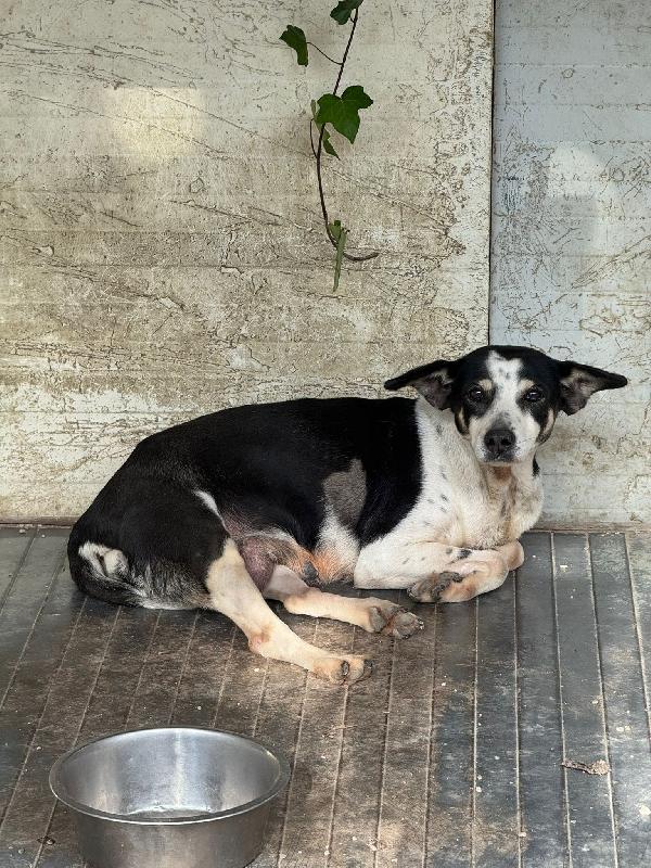 Nonna Luisa: Adozione Del Cuore 