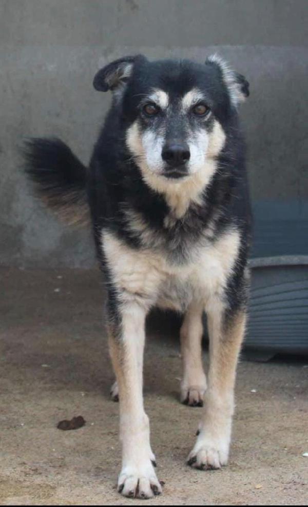 Rio 13 Anni Taglia Media