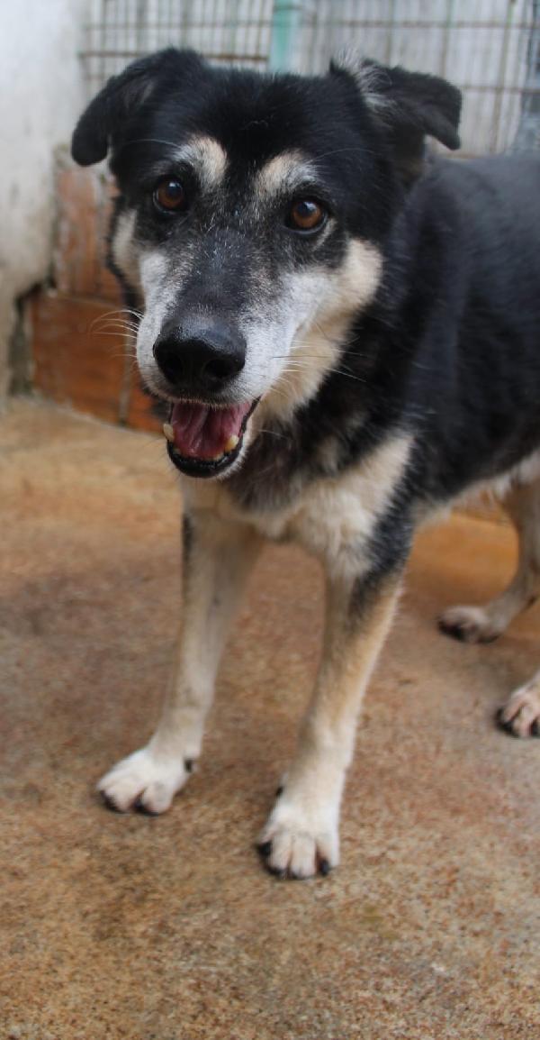 RIO 13 ANNI taglia media Foto 2