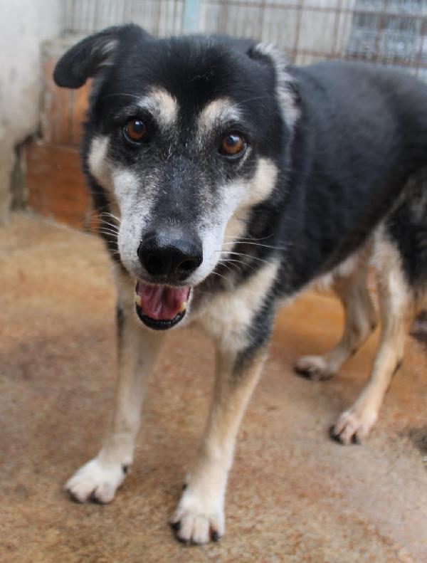 RIO 13 ANNI taglia media Foto 3