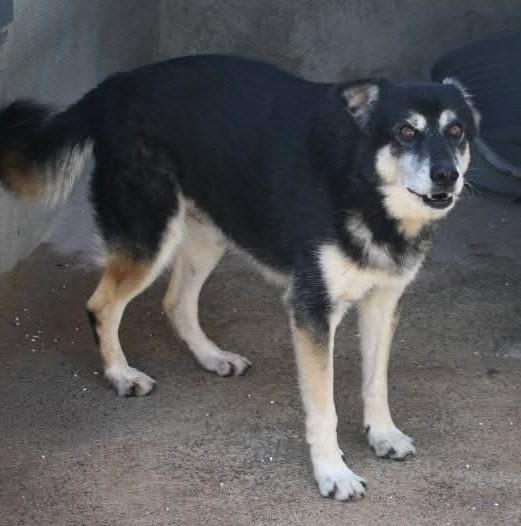 RIO 13 ANNI taglia media Foto 4