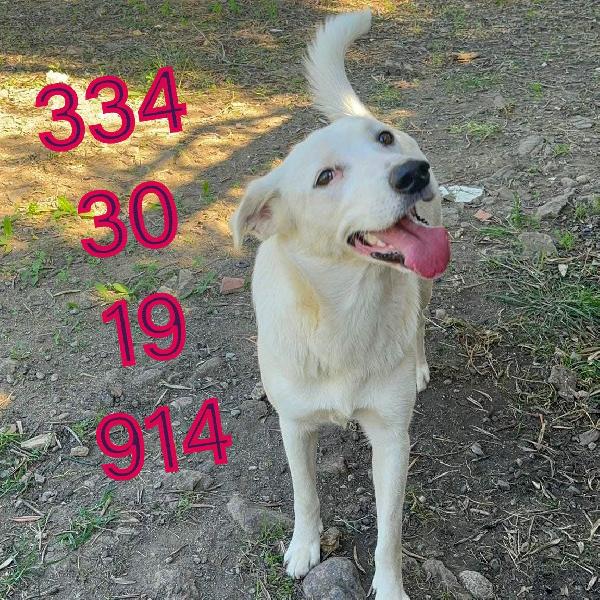 Wilma...due anni di eleganza Foto 5