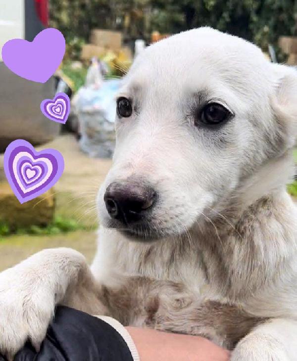 Wilma, occhi che incantano Foto 2